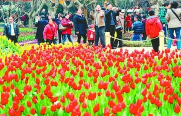 2009 ����(ji��) ���� ����Σ�C ���ΘI(y��) �Ј� �a(ch��n)Ʒ 