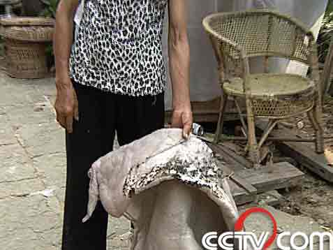 �߽��ƌW(xu��)��Ŀ ���ڃ�(n��i)�� ׷ۙ�o���� �ϼ� 