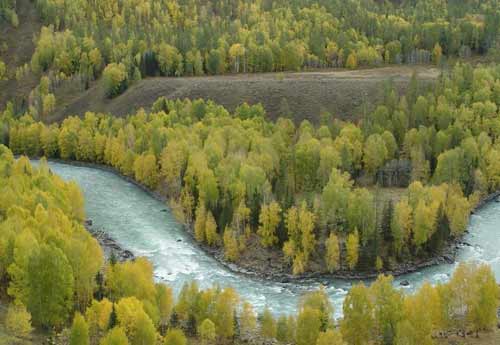 ð�U�� ʥ�� ���{˹ԭʼ�؎� ð�Uָ��(sh��) 