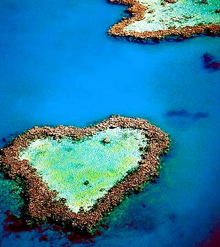 �Ĵ� �O������ ���c �R������ ���O�����^ �Ĵ������󱤽� ������ ������������Y