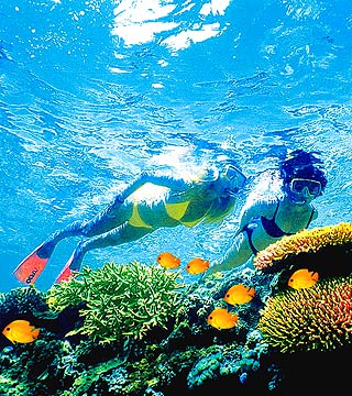 �Ĵ� �O������ ���c �R������ ���O�����^ �Ĵ������󱤽� ������ ������������Y