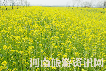 ���¡����Ρ������硡�̓r(ji��)��(y��u)�ݴ�ʩ����������