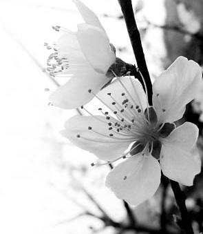 ���]���������������m���ʼ҈@���U�͈@����