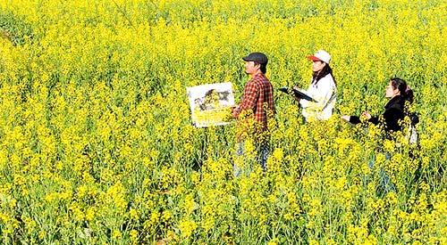 ꖴ����¡����C(j��)���箋������Ȼ���p���ع��ԡ�