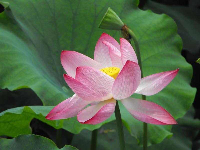 С�Y���ε� ��������