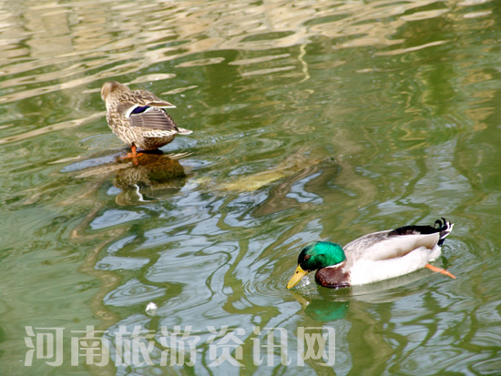 ����ˮů ��� �Ϟ��� ��