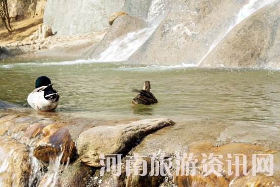 ����ˮů ��� �Ϟ��� ��