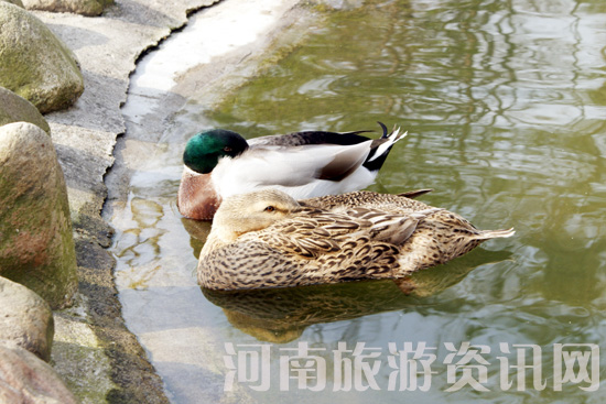 ����ˮů ��� �Ϟ��� ��