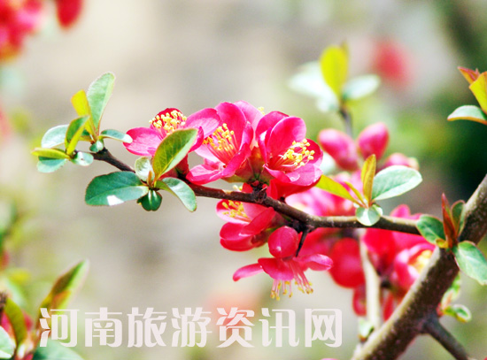 ֦�g�¾Gһ���� С����ؔ�(sh��)�c�t ��ϧ����Ī�p�� �ҽ������[���L(f��ng) ���Ļ� ������ ���Gɽ���@