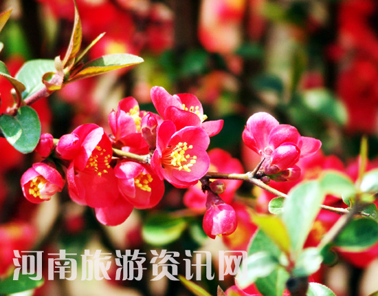 ֦�g�¾Gһ���� С�����?c��i)?sh��)�c(di��n)�t ��ϧ����Ī�p�� �ҽ������[���L(f��ng) ���Ļ� ������ ���Gɽ���@