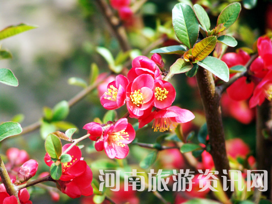 ֦�g�¾Gһ���� С����ؔ�(sh��)�c�t ��ϧ����Ī�p�� �ҽ������[���L(f��ng) ���Ļ� ������ ���Gɽ���@