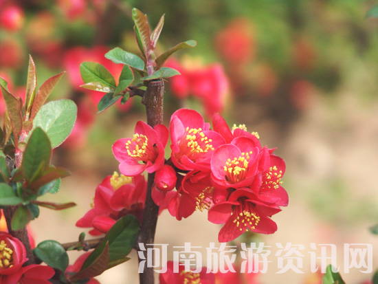 ֦�g�¾Gһ���� С�����?c��i)?sh��)�c(di��n)�t ��ϧ����Ī�p�� �ҽ������[���L(f��ng) ���Ļ� ������ ���Gɽ���@