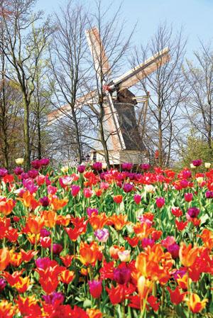 ��ϻ��������㹫�@�����Ρ����mŮ�����Ŵ��˹��60����cף�xʽ