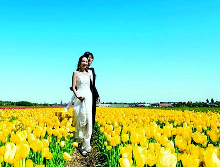 ������ �W�� ���m ��ƽ���µć���