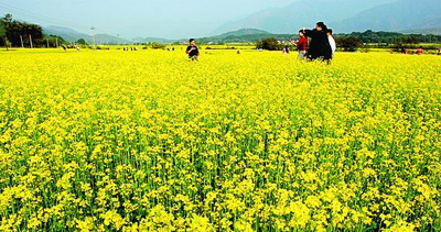 09���Ϻ��˻���(ji��)