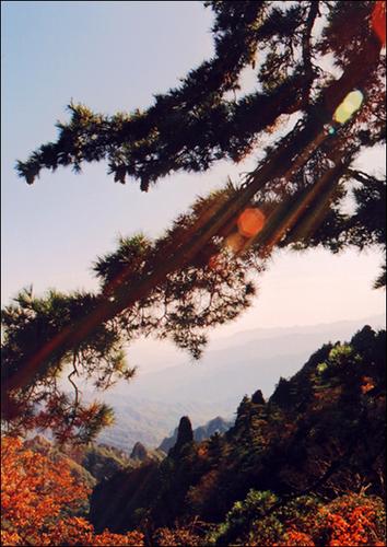 ��ɽ���Ռ���������