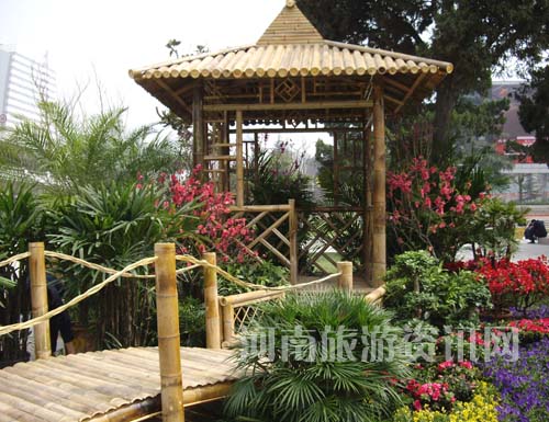 ���G��չ�����ӽ��ɵ�ͤ�_���w