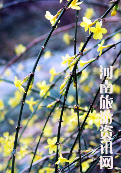 �紺 ���� ���� ע�� ����