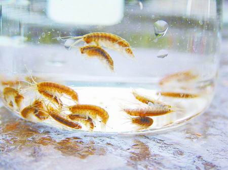 ��ꖶſ��� �߲��x���r