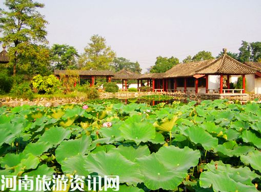 �F�����@&nbsp;�辰Է