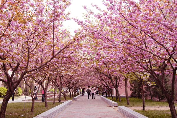 ���� �p�ѻ� �����r(n��ng)�I(y��)��W(xu��)