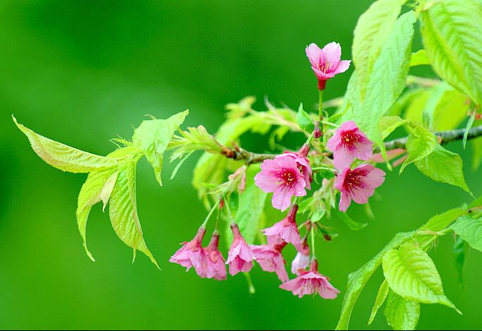 ���� �p�ѻ� ��һ�� �ѻ���