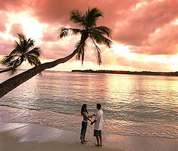 �](m��i)�����l(f��)�ꡡ���Y��ɽ�������(gu��)�ҡ�쳝�(j��)