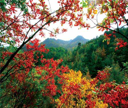 ���ľ���X