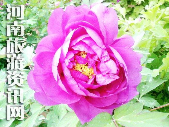 ��ĵ��Ԕ��(x��)·��