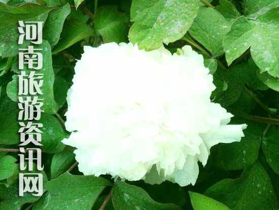 ��ĵ��Ԕ��(x��)·��