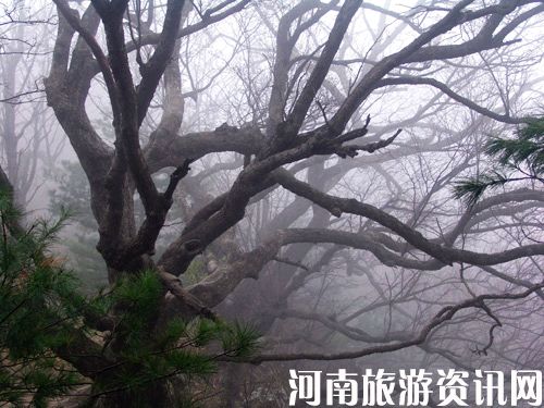 ľ���X ��������