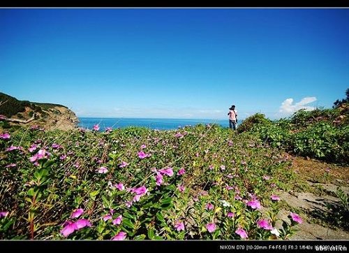 �V�|���� ���i�Ѝu �Ї����R������