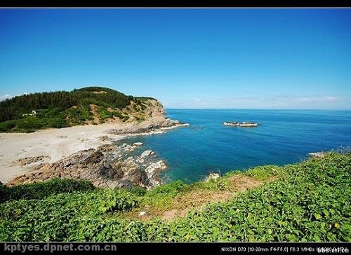 �V�|���� ���i�Ѝu �Ї����R������