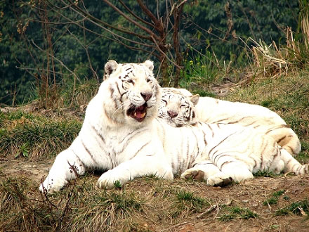 ��һ ���݄���@ �ϼ��� �׻�