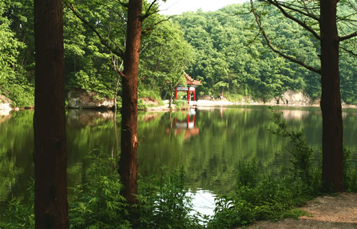 ���M ���� 21��ɭ�ֹ��@ ����