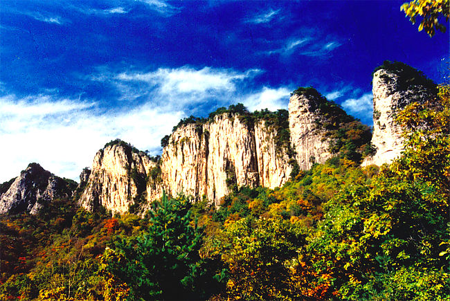 ���M ���� 21��ɭ�ֹ��@ ����