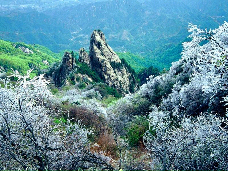 ���M ���� 21��ɭ�ֹ��@ ����