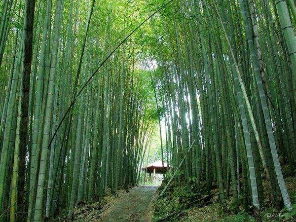 ���M ���� 21��ɭ�ֹ��@ ����