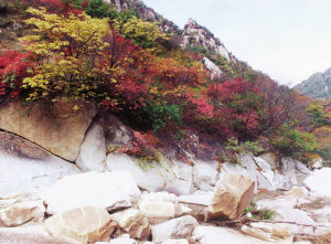 ���M ���� 21��ɭ�ֹ��@ ����