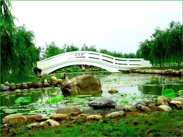 ���M(f��i) ���� 21��(g��)ɭ�ֹ��@ ����