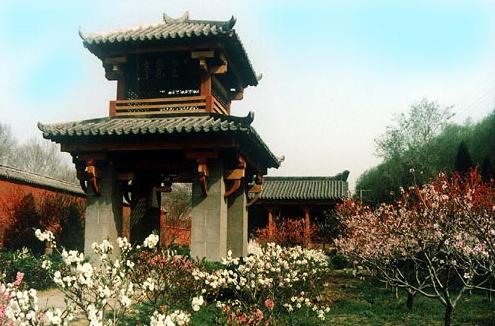 ���M(f��i) ���� 21��(g��)ɭ�ֹ��@ ����