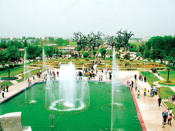 ���M(f��i) ���� 21��(g��)ɭ�ֹ��@ ����