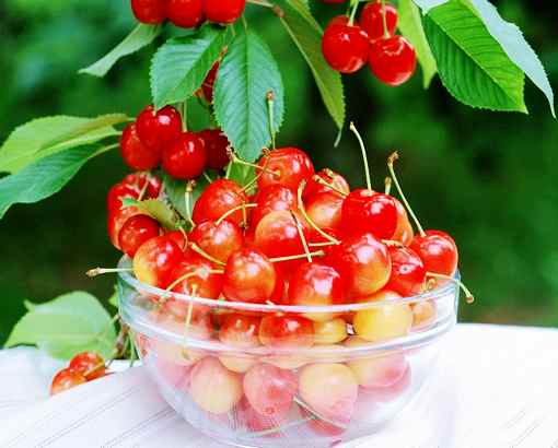 ����������s���Ҝϵ��������ݙ��ҹ�(ji��)