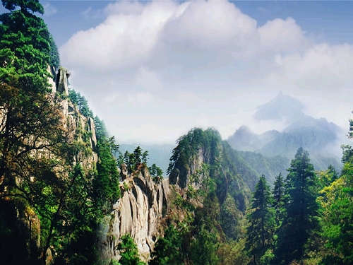 ���M(f��i) ���� 21��(g��)ɭ�ֹ��@ ����