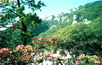 ���M(f��i) ���� 21��(g��)ɭ�ֹ��@ ����