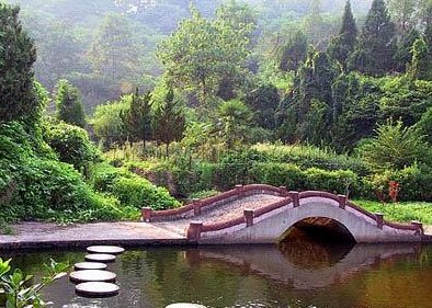 ���M(f��i) ���� 21��(g��)ɭ�ֹ��@ ����