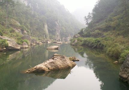 ���M(f��i) ���� 21��(g��)ɭ�ֹ��@ ����