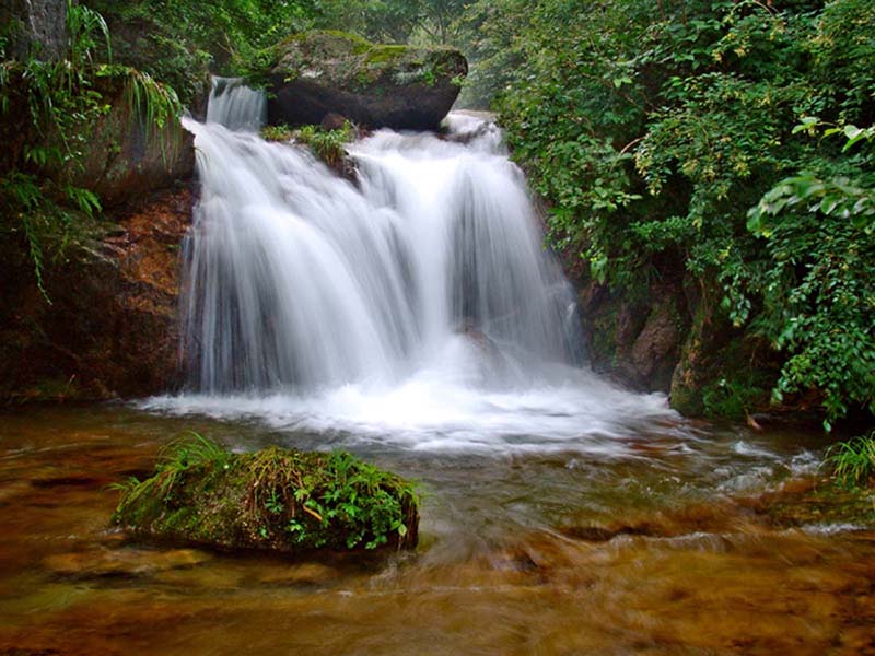 �������L���^(q��)