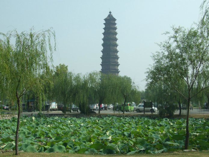 �F�� �_�� ��־�Խ��� ���� ����ī��