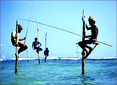 ˹���m�� ӡ����Ę�a����ĜI